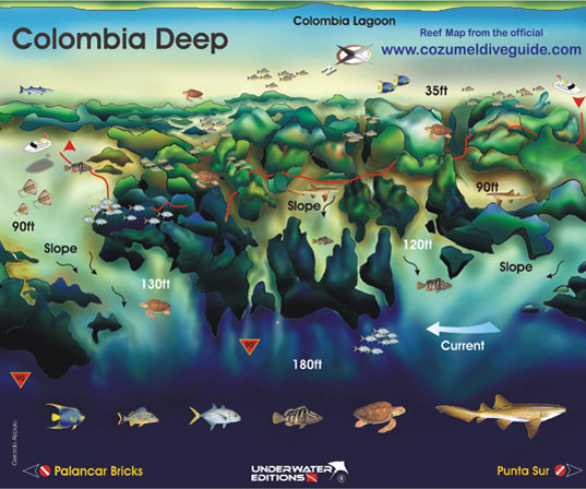 Colombia Deep Reef