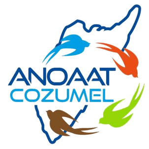ANOAAT Cozumel logo