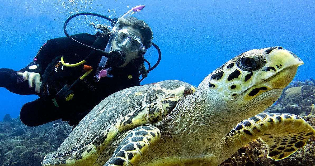 Diver swimming alongside a sea turtle underwater