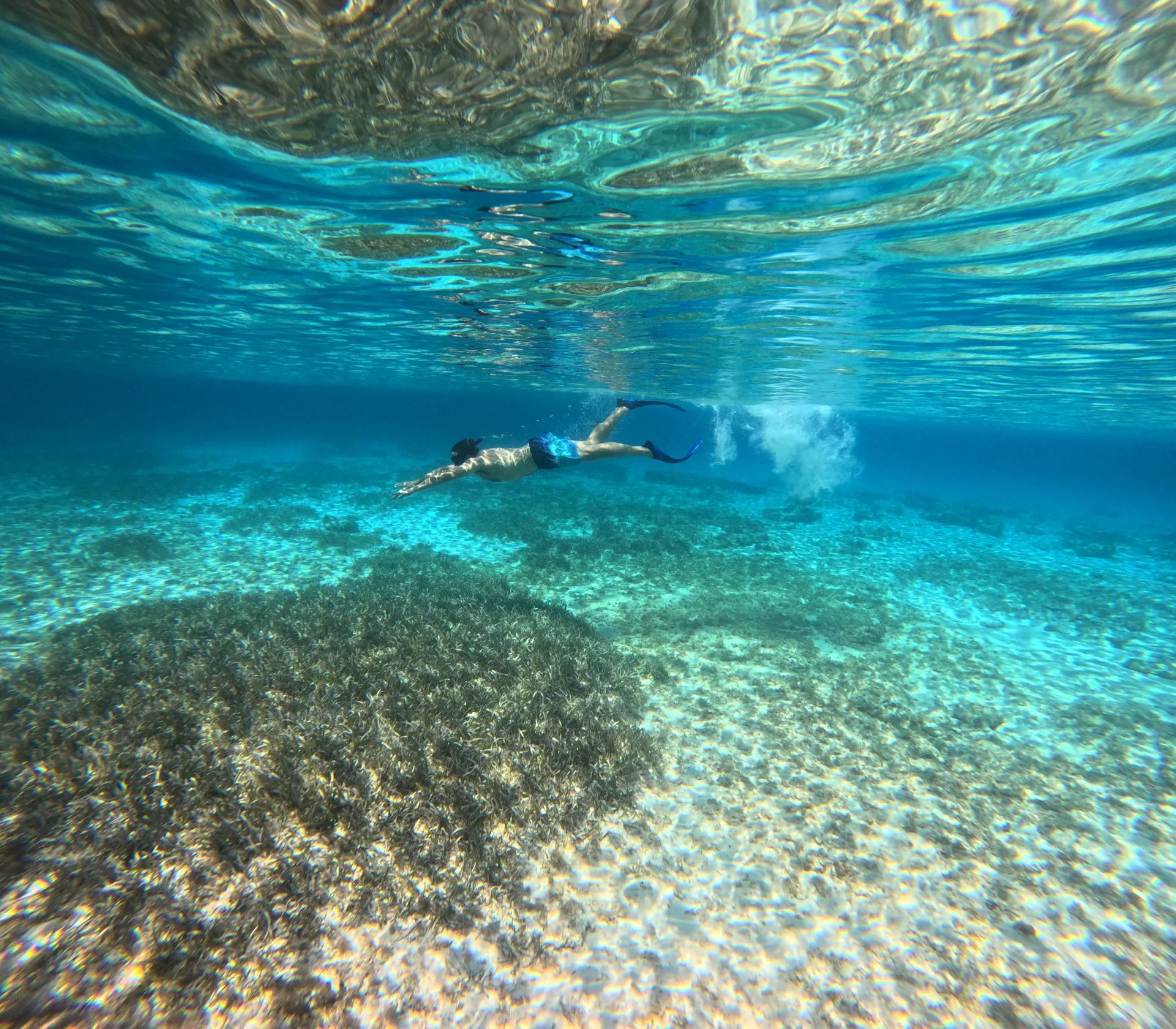 Snorkeling - Deep Blue Cozumel