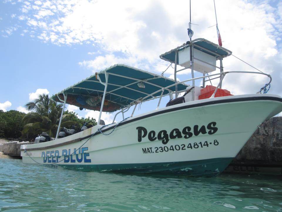 Pegasus, one of Deep blue Cozumel boats