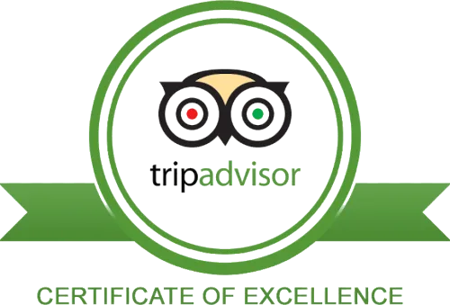 Tripadvisor - Certificat of excellence logo